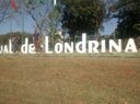 estadual de Londrina PR.jpg