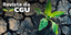 Revista da CGU.png