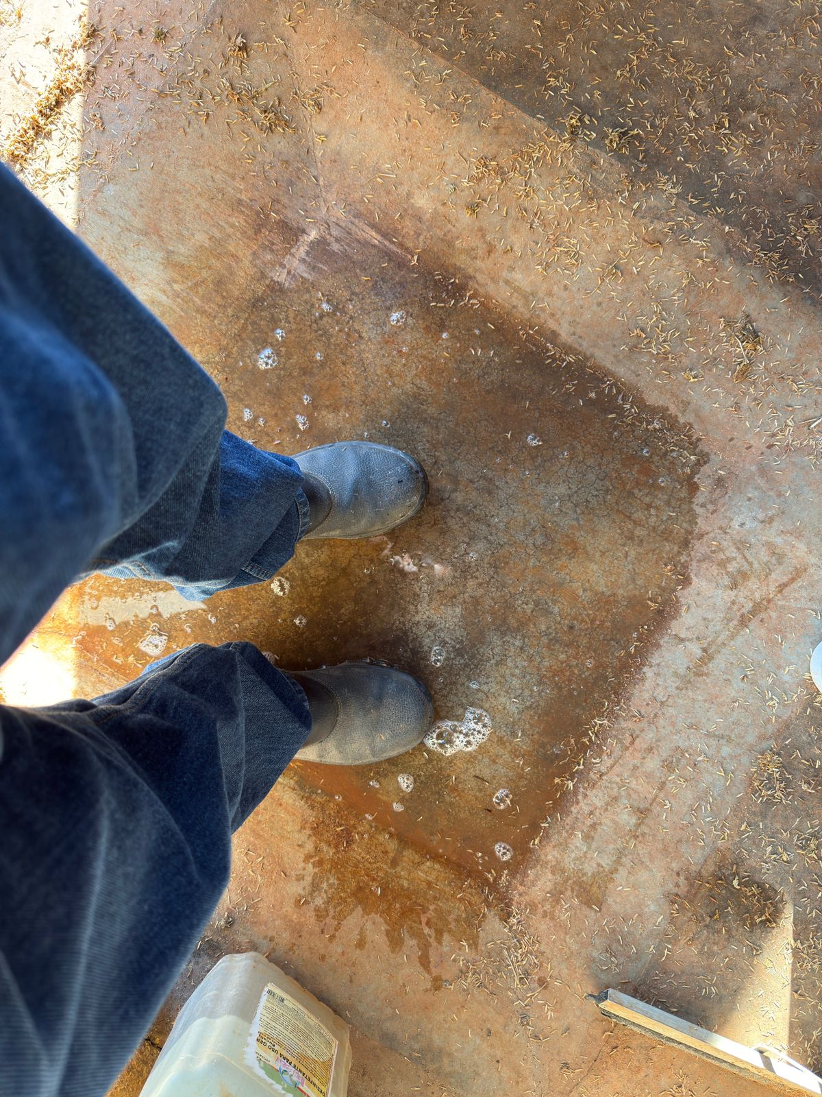 Pedilúvio promove higienização na entrada, evitando contágio do ambiente