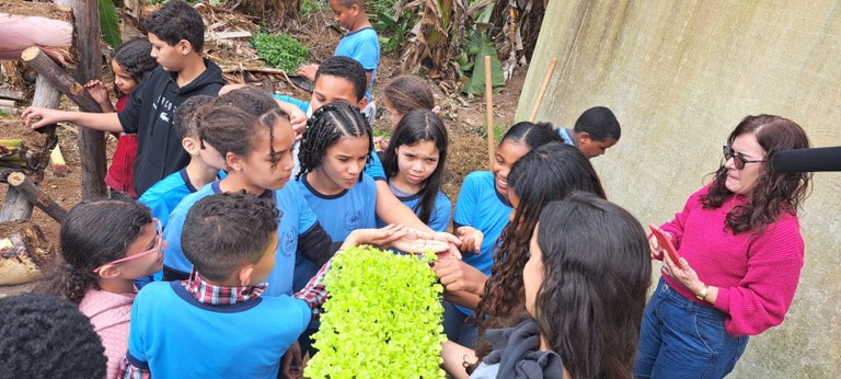 Núcleo de Estudos em Sustentabilidade Ambiental, Agroecologia e Diversidade (Nesad)