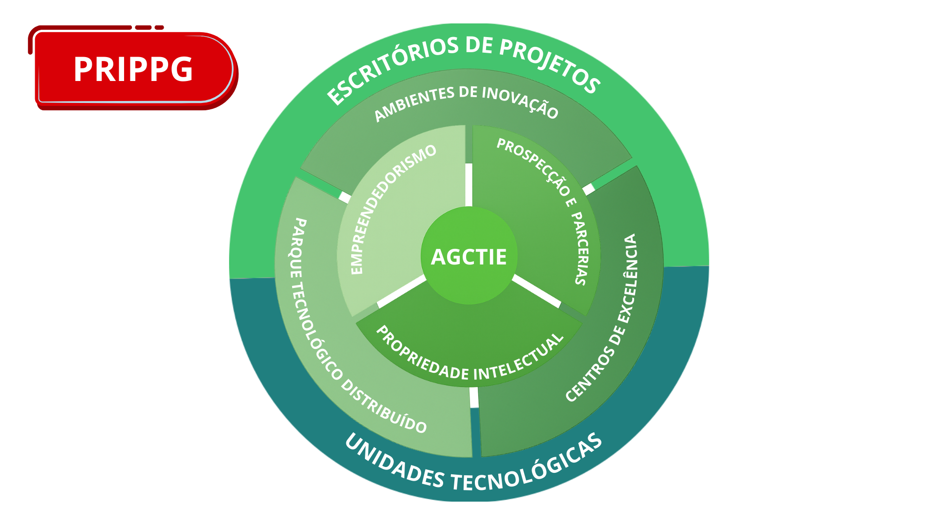 Organograma AGCTI